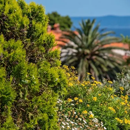 In With Seaview, Terrace, Air Condition, Wifi
